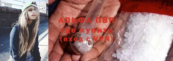 прущие крисы Алзамай