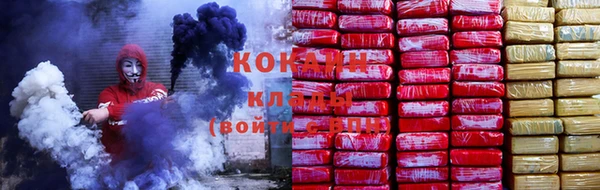прущие крисы Алзамай