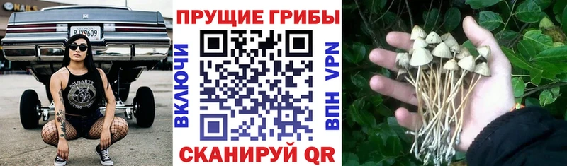 мега ССЫЛКА  Рязань  Галлюциногенные грибы мухоморы 